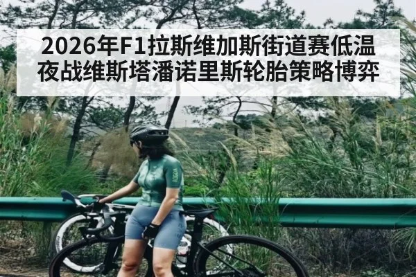 2026年F1拉斯维加斯街道赛低温夜战维斯塔潘诺里斯轮胎策略博弈